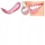 3f47be5d173a03d5d065fb6d7cf36158