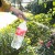 da865901e463ebc190f4a4ea7bff6999