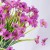 463199aa74dec8853fa176ac77beaf6c