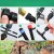 373934d104c4c46639def1dacbea6dc7