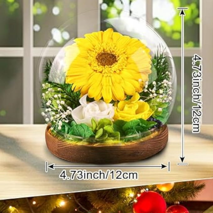 59c319b2c2ac07da685a27054212c1a4