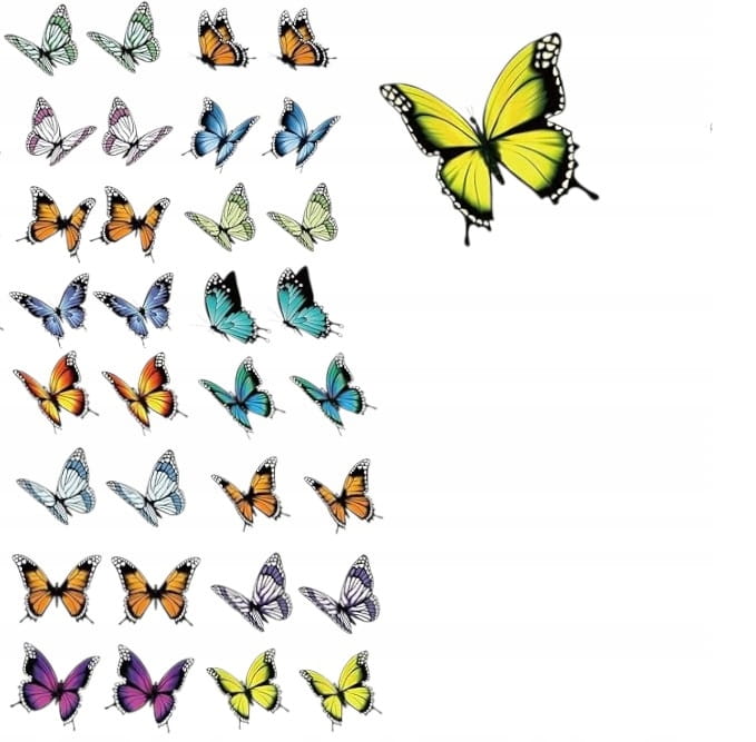 5f6d1e87fb812c16981c5f8c60584ab5